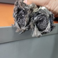 石墨盘根生产厂家