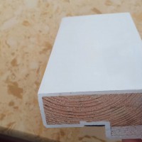 木质防火门，河北防火门,生产防火门，阆阆防火门